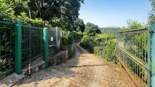 Area verde in vendita a Monteviale - Foto 6