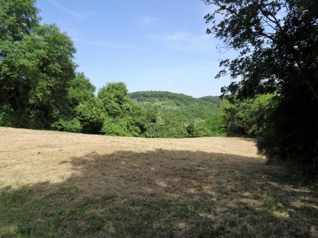 Terreno agricolo in vendita a Poggibonsi 25000 mq Rif: 1292617 - Foto 8