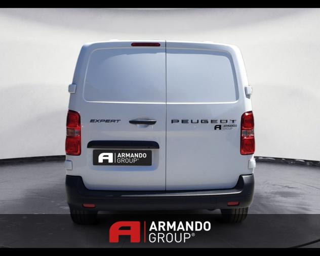 Peugeot EX37 EXPERT - VAN M 2.2 DIESEL 150CV MANUALE - Foto 6