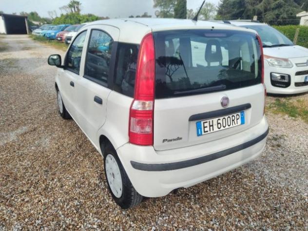 FIAT Panda 1.2 Active rif. 23532066 - Foto 4