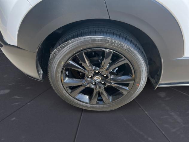 MAZDA CX-30 2.0L e-Skyactiv-G 150 CV M Hybrid 2WD Nagisa - Foto 6