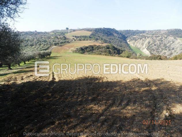 Terreno di 46370 mq in vendita a Montescaglioso - Rif. 4555042 - Foto 6