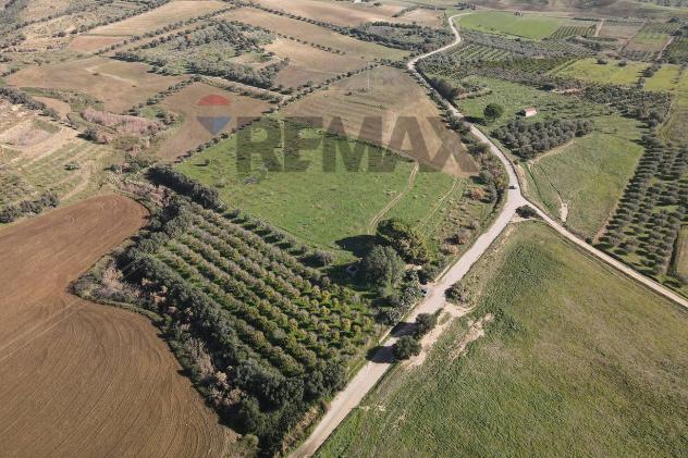 Terreno in vendita a Paternò - Foto 7