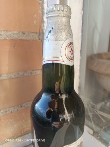 BIRRA STELLA ARTOIS - Foto 10