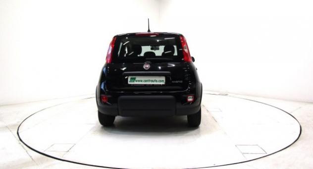 FIAT Panda 1.0 FireFly Hybrid * OK NEOPATENTATI * rif. 23873118 - Foto 4