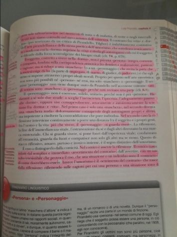 Luperini storia della letteratura ita. Dalle origini al 1925 - Foto 10