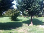 Rustico / Casale di 600 m² con 5 locali e box auto in vendita a Carpi