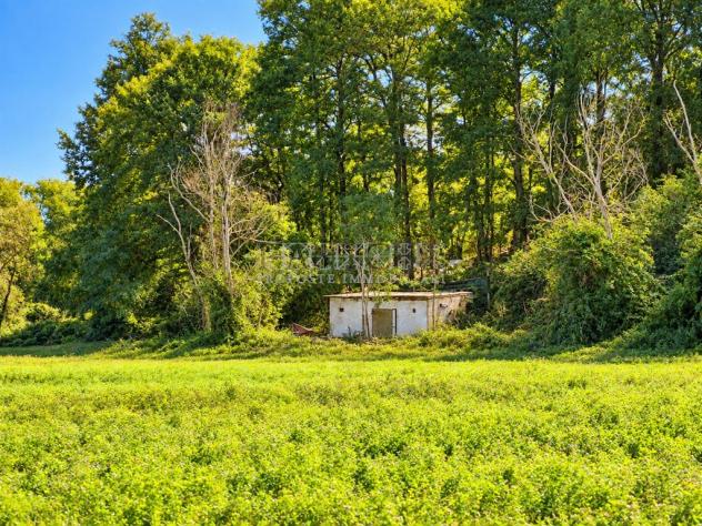 Terreno agricolo con magazzino e pozzo