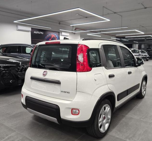 FIAT Panda 1.0 Hybrid 70 CV City Life rif. 24035094 - Foto 2