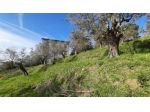 Villa in vendita a Castelnuovo Magra 600 mq  Rif: 1285188