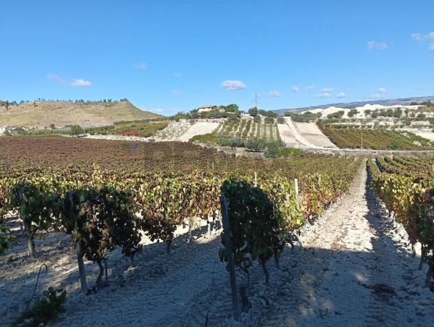 Terreno in vendita a Caltagirone - Foto 4