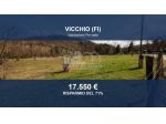 Immobile in asta di 5027 m² in vendita a Vicchio