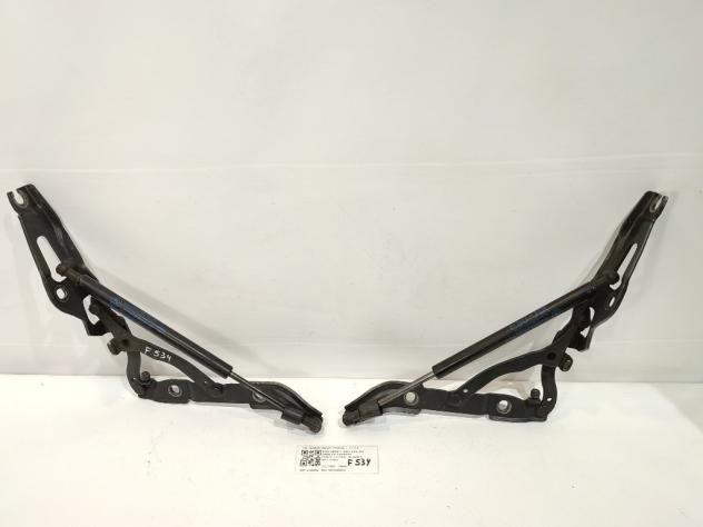 CERNIERE BAULE COFANO POSTERIORE DX SX BMW Serie 3 E90 Berlina 7060628 7060627 7250308 M47N204D4 (0508)