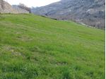Vendita terreno agricolo