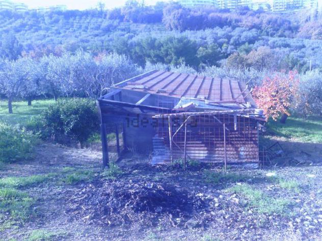 Vendita Terreno edificabile da 950 mq in Via Alessandro III con giardino - Foto 7