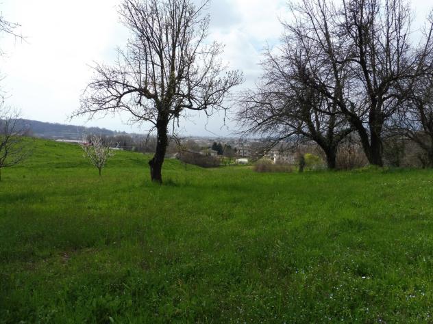 Terreno Agricolo - Fara Vicentino . Rif.: Cod. rif 3314789VCG