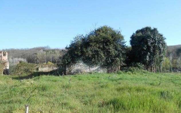 Colonica in vendita a Asciano 1352 mq Rif: 751134 - Foto 7