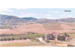 AZIENDA AGRICOLA di 12 vani e di 400 mq (CASTEL DEL PIANO) rif. 2262.238M