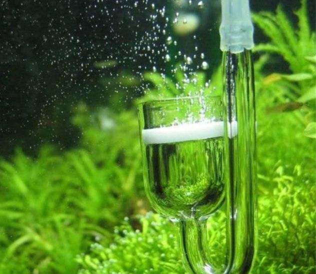 Impianto CO2 artigianale per acquario