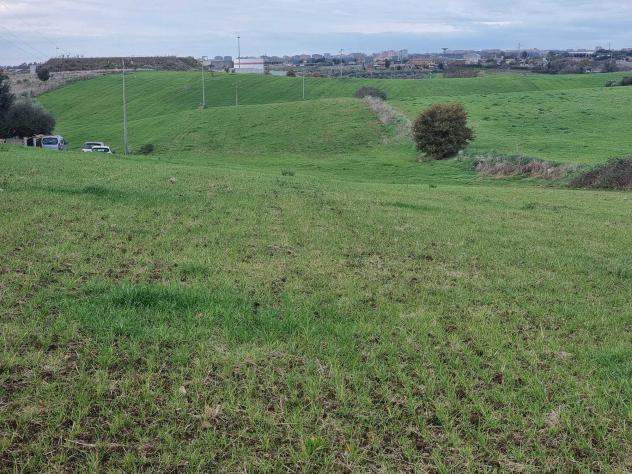 Agricolo in Via della Pescarella - Foto 10