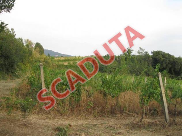 Immobile in asta di 152 m² in vendita a Grottaferrata