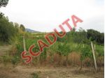 Immobile in asta di 152 m² in vendita a Grottaferrata