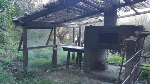 Agricolo in vendita a La Spezia - Foto 5