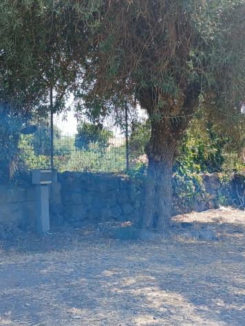 Agricolo in vendita a Misterbianco - Foto 17