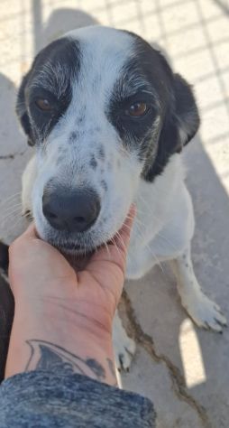 GIANNA E’ RIMASTA SOLA - Foto 4