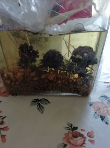 candela con dentro delle pigne - Foto 2
