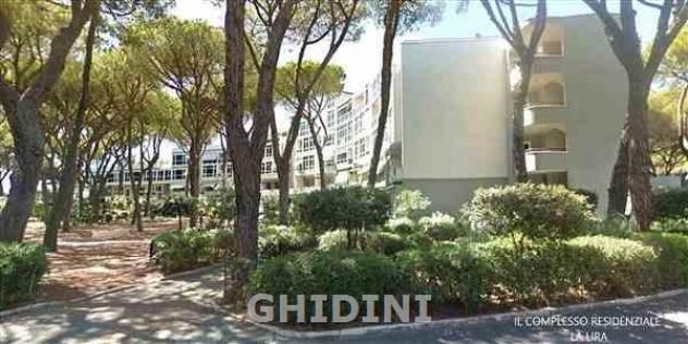 APPARTAMENTO di 1 vani e di 35 mq (GROSSETO - ROSMARINA) rif. 2456.155M - Foto 14
