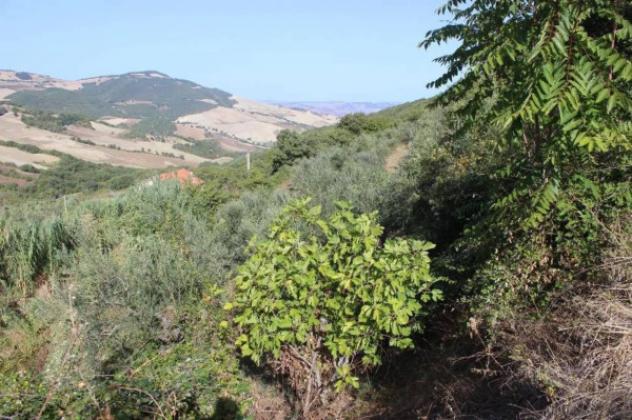 Immobile in asta di 159 m² in vendita a Casacalenda - Foto 4