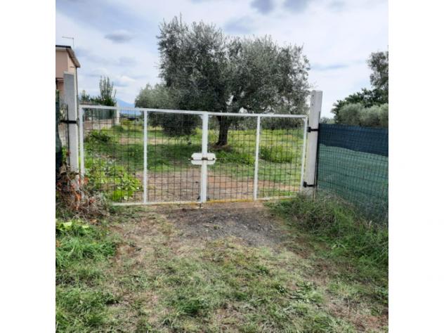 Agricolo in Secondo Stradone Muti - Foto 9