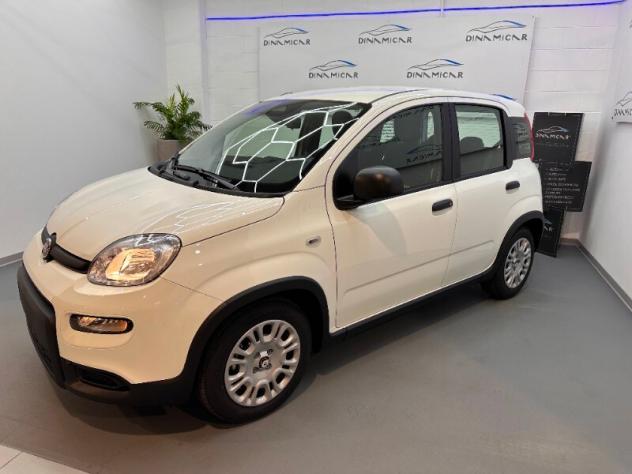 FIAT Pandina Pandina 1.0 FireFly 65 CV Hybrid Icon - Foto 4