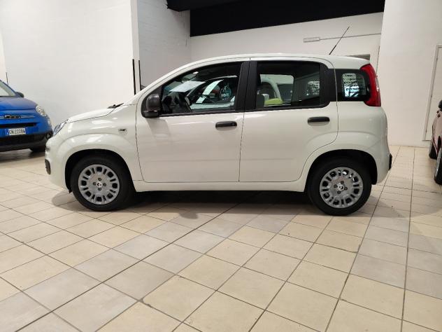 FIAT Pandina 1.0 FireFly 65cv S&S 6m Hybrid Pop - Foto 9
