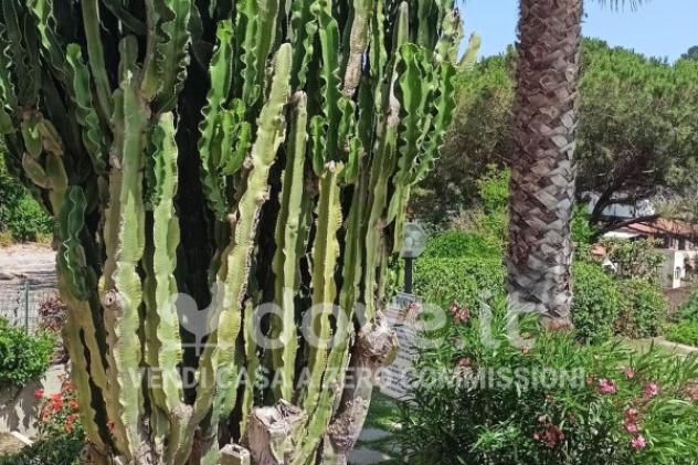 Appartamento di 105 m² con 2 locali e box auto in vendita a Porto Azzurro - Foto 8
