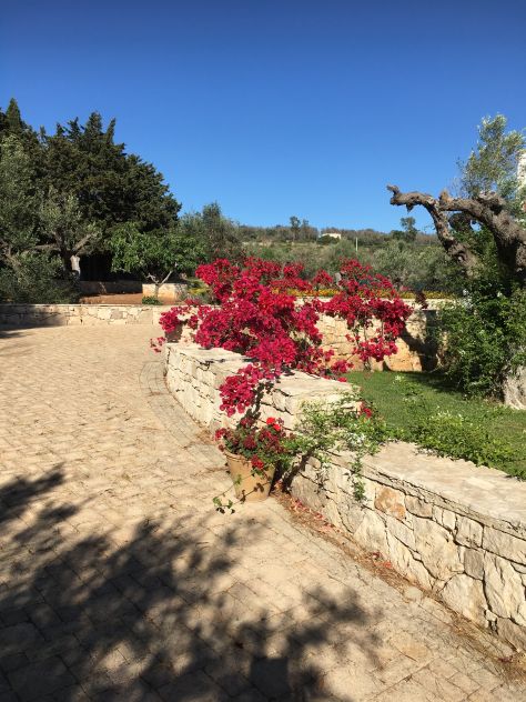 VILLA SPETTACOLARE VISTA MARE CON PISCINA E GIARDINO MARINA DI UGENTO LE - Foto 4
