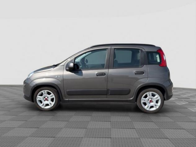 FIAT Panda Panda 1.0 FireFly Hybrid City Life rif. 23696489 - Foto 2