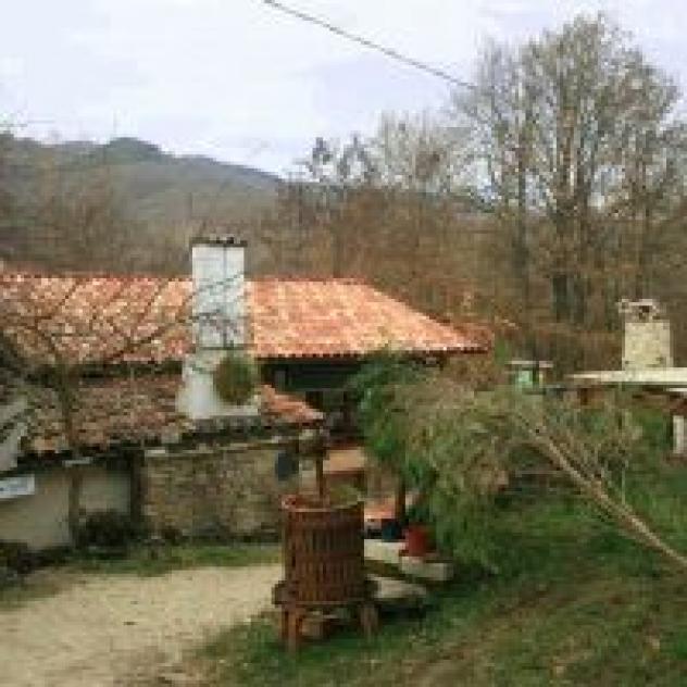 Commentucci Giuseppe - Foto 3