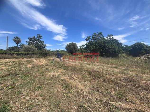 Terreno Agricolo - Rif. 2672 - Foto 6