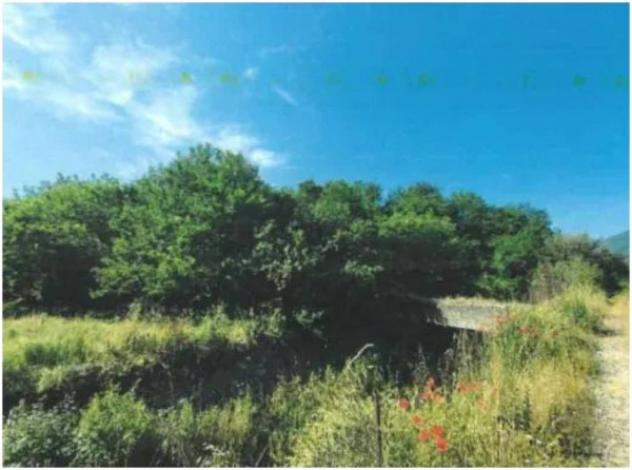 Immobile in asta di 1875 m² in vendita a Ceccano - Foto 2