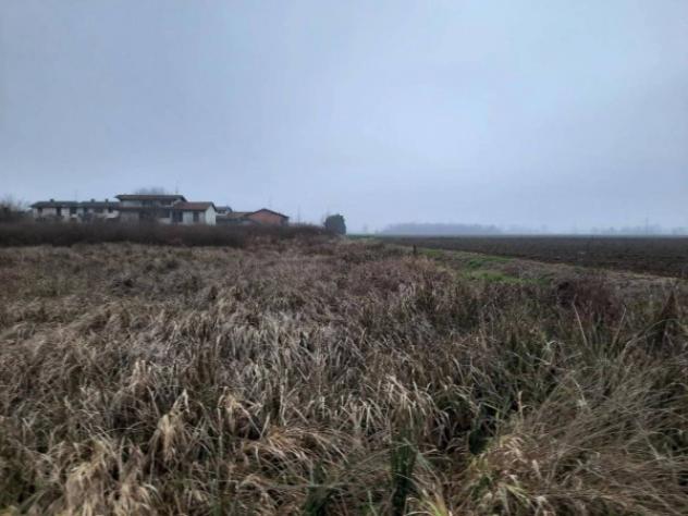 Immobile in asta di 1800 m² in vendita a Albuzzano - Foto 7