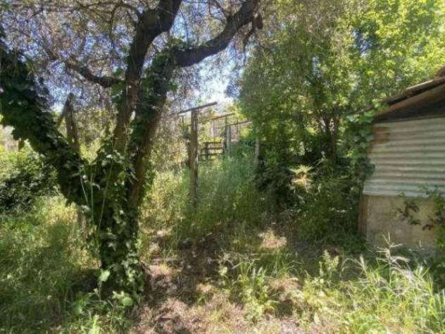 Immobile in asta di 2193 m² in vendita a Grottaferrata - Foto 11