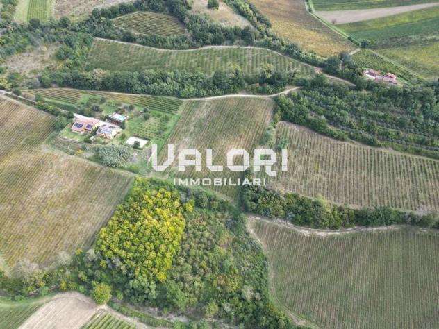 PODERE AGRICOLO DI CIRCA HA 31 OLTRE A CORTE CON CASA COLONICA E SERVIZI - Foto 18