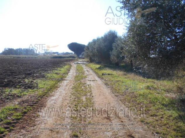 IMMOBILI-ALTRA CATEGORIA-Prati di Coppola, Latina - Foto 3