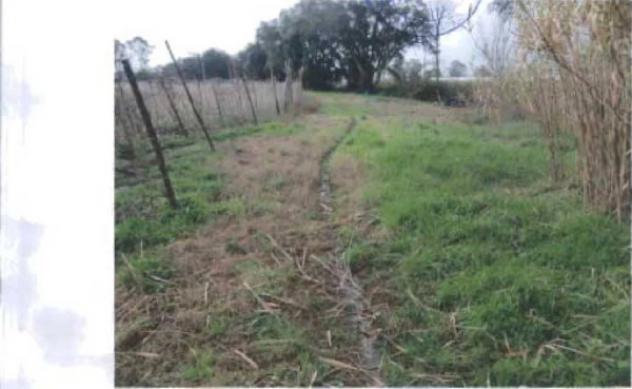 Immobile in asta di 88446 m² in vendita a Terracina - Foto 5
