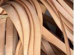 T19 Nastro in pelle a vegetale naturale H 15 mm - L 15 mt