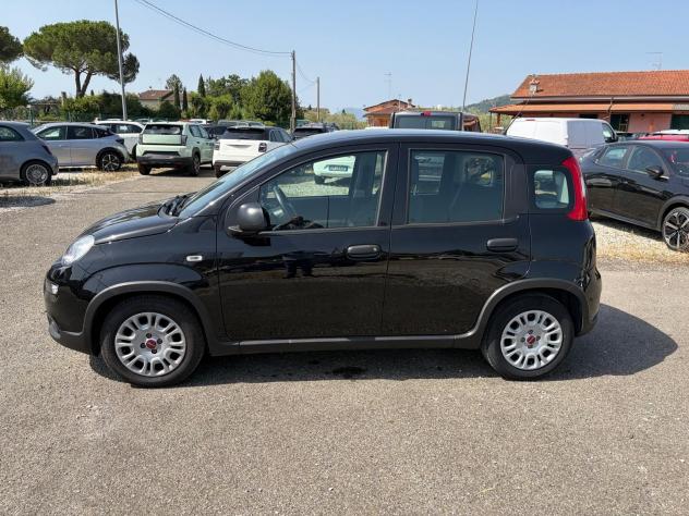 FIAT Panda 1.0 FireFly S&S Hybrid - Foto 3