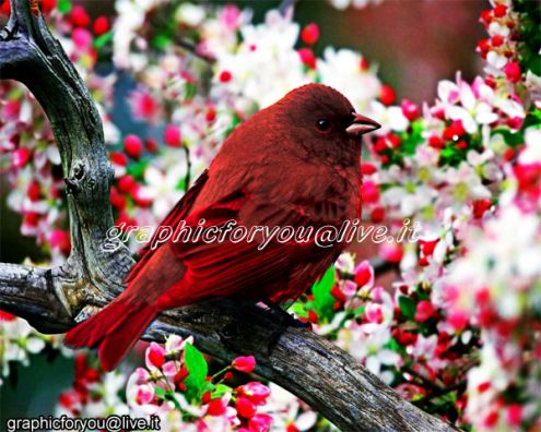 ggggrrrrGrafica, Comunicazione, Volantini, Poster. - Foto 5