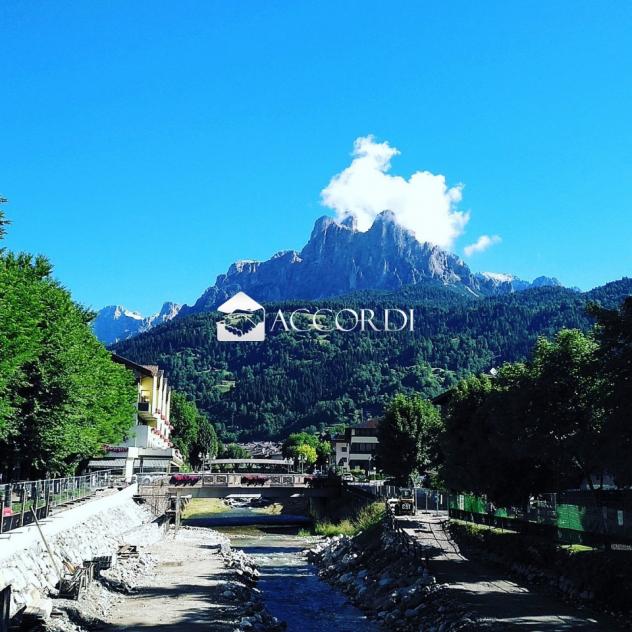 NEGOZIO di 3 vani e di 205 mq (PRIMIERO SAN MARTINO DI CASTROZZA) rif. DN364 - Foto 5